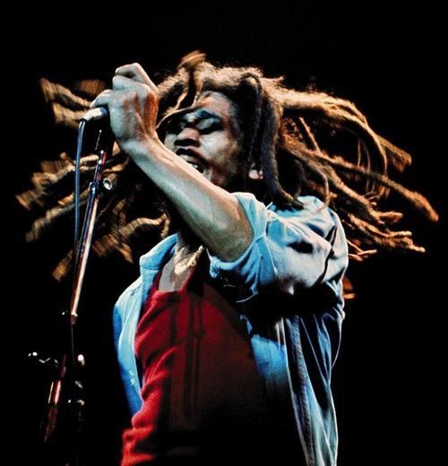 Montego Bay: Bob Marley Tour to 9 Mile, St. Ann - Pickup details at hotels, the airport, and cruise port