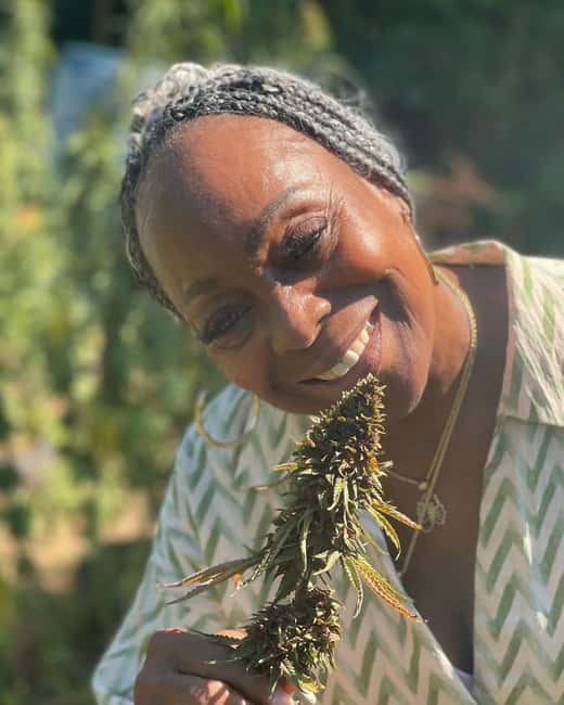 Montego Bay: Cannabis Farm, Bamboo Rafting, & Foot Massage - Finishing with a warm limestone foot massage