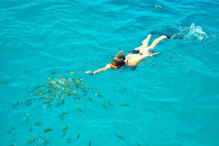 Montego Bay Catamaran Cruise and Snorkeling Tour - Snorkeling From the Front Steps