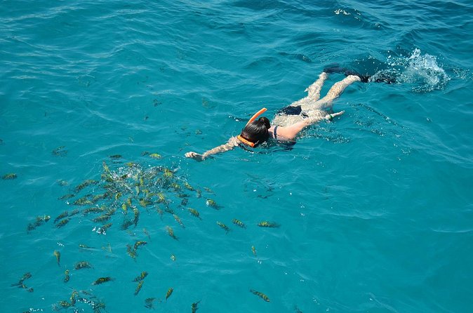 Montego Bay Catamaran Cruise and Snorkeling Tour from Falmouth - Snorkeling in the Caribbean Sea
