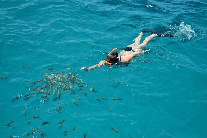 Montego Bay Catamaran Cruise and Snorkeling Tour from Falmouth - Is $250 a fair price?