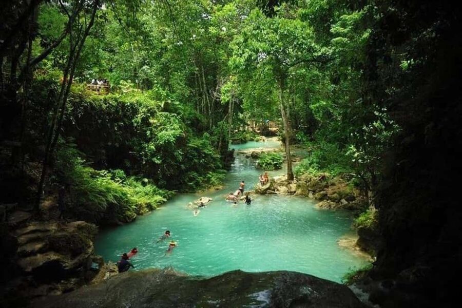 Montego Bay: Chuck Norris Falls & Dunn's River Falls Tour - Two very different waterfalls in one day