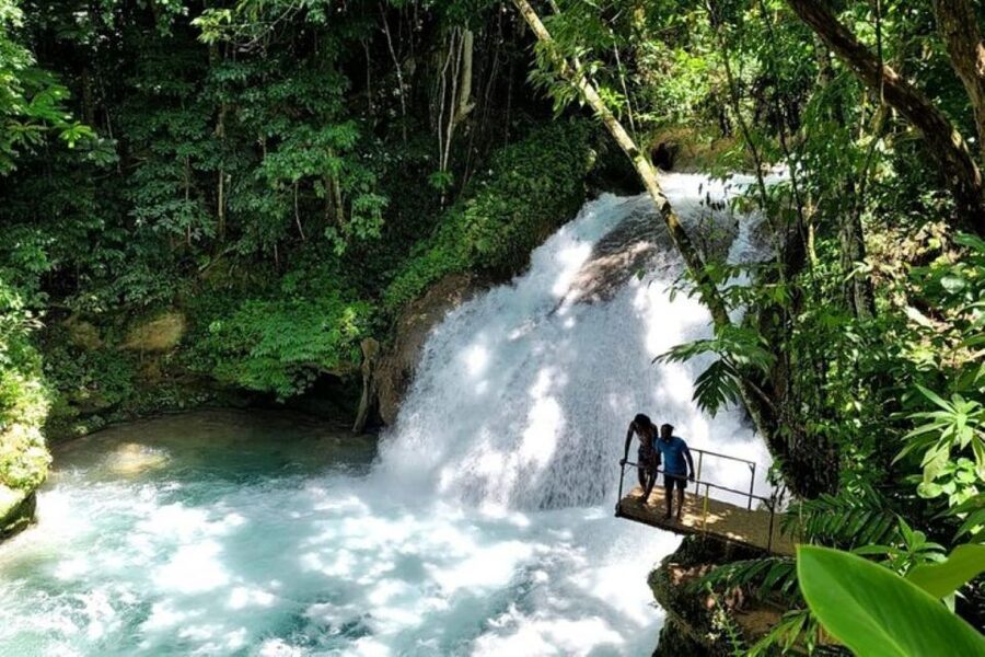 Montego Bay: Chuck Norris Falls & Dunn's River Falls Tour - A closer look at the guide service