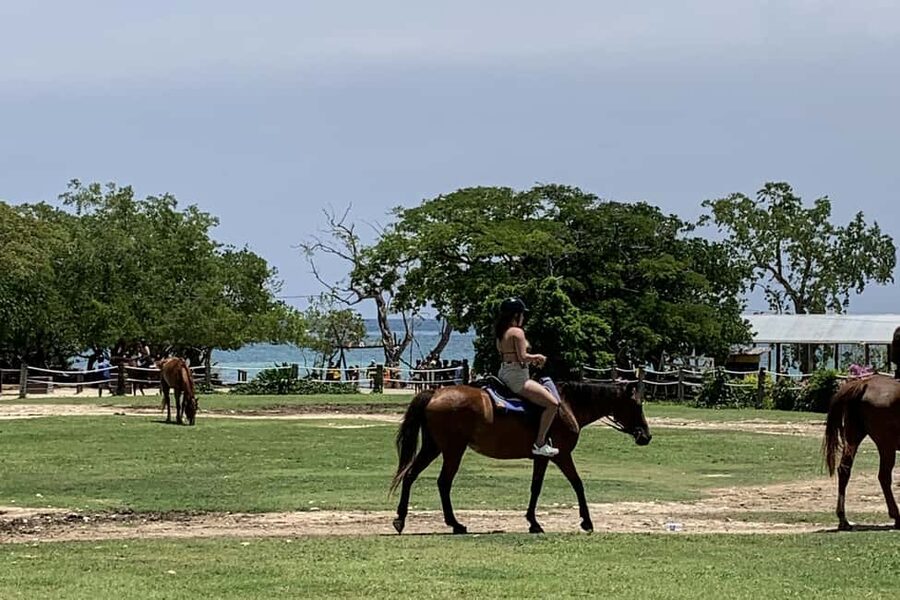 Montego Bay: Day Trip with Zipline, ATV, and Horseback Ride - Taking the zipline for countryside views