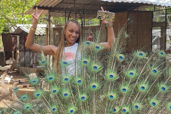 Montego Bay Exotic Herbs, Birds and Animals Interaction Tour - Meeting Jamaica’s birds and small animals at Ironshore