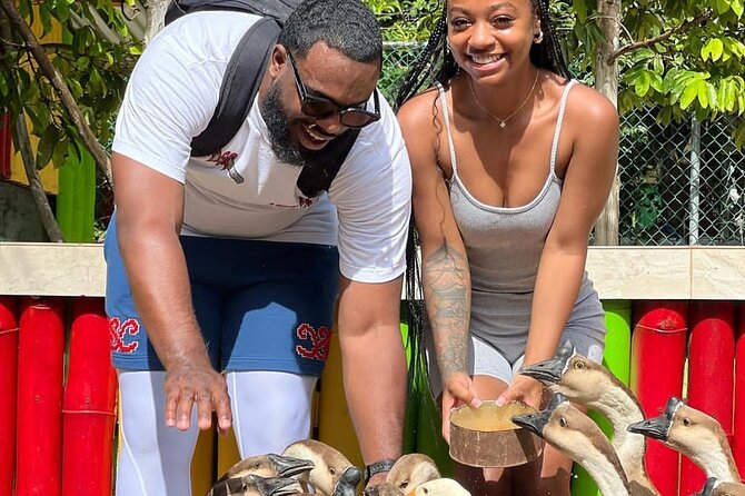 Montego Bay Exotic Herbs, Birds and Animals Interaction Tour - Why the herb and agriculture portion matters