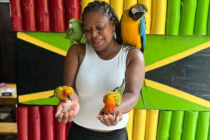 Montego Bay Exotic Herbs, Birds and Animals Interaction Tour - Rain is the biggest variable