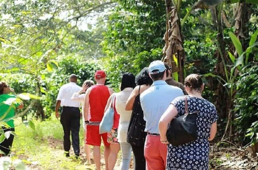 Montego bay Highlight Tour - Booking flexibility and practical details