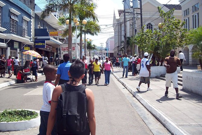 Montego Bay Highlights From Montego Bay Hotels - Who should choose this Montego Bay tour?
