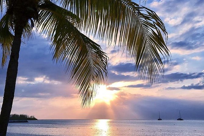Montego Bay Highlights Tour from Montego Bay - Sam Sharpe Square and the Cultural Center