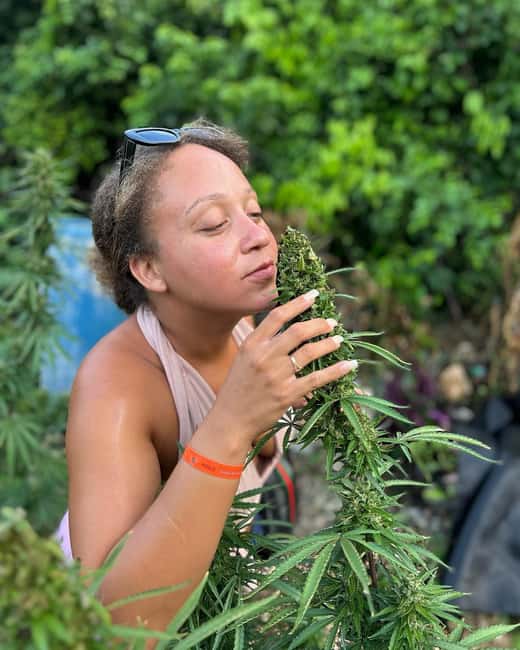 Montego Bay: Marijuana Farm and Bird Sanctuary Tour - A marijuana tour with a small-scale feel