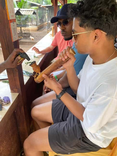 Montego Bay: Marijuana Farm and Bird Sanctuary Tour - The bird sanctuary brings the most interaction