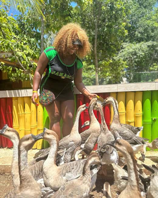 Montego Bay: Marijuana Farm and Bird Sanctuary Tour - The real cost is higher than the headline price