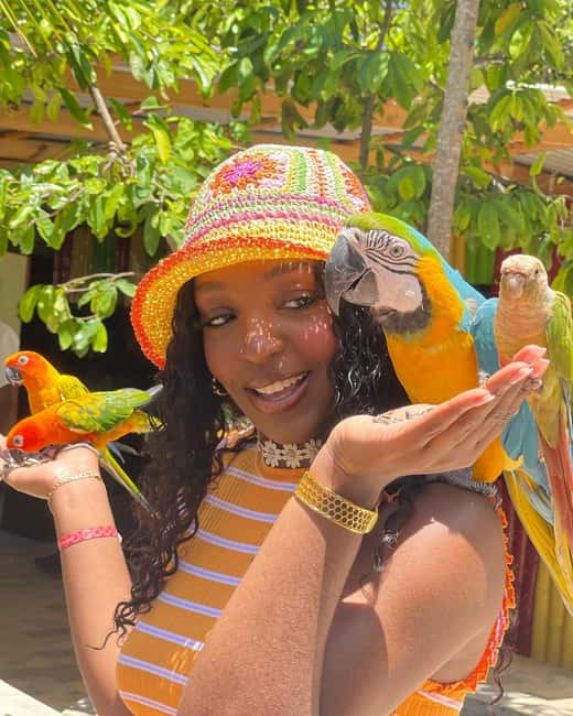 Montego Bay: Marijuana Farm and Bird Sanctuary Tour - A short schedule that can feel even shorter