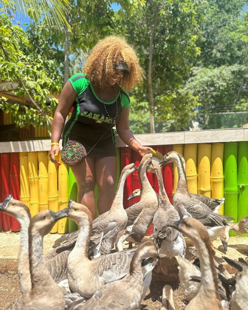 Montego Bay: Marijuana Farm and Bird Sanctuary Tour - What I would ask before leaving the hotel