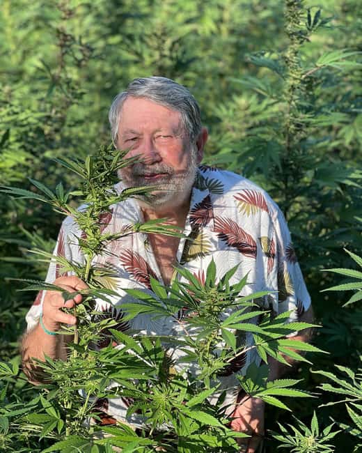 Montego Bay: Marijuana Farm Private Tour with Transportation - What the Montego Bay cannabis farm visit is really like