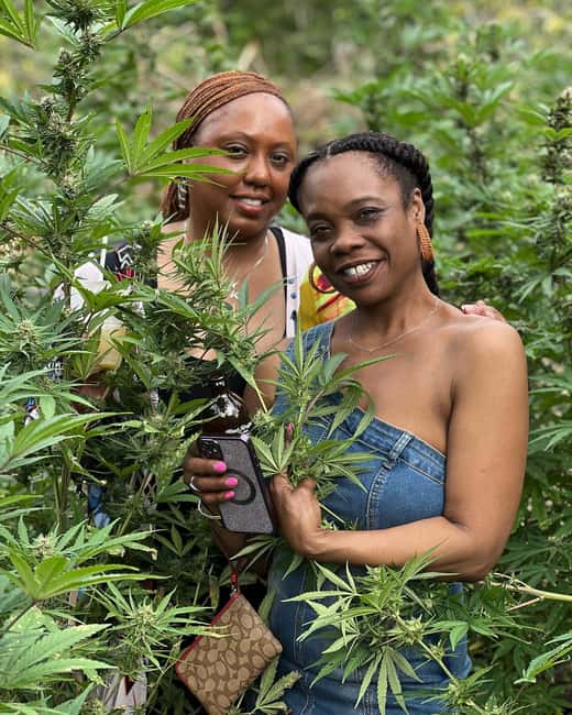 Montego Bay: Marijuana Farm Private Tour with Transportation - Practical advice for a smooth visit
