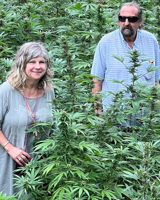 Montego Bay: Marijuana Farm Private Tour with Transportation - The farm’s size and the value of $133
