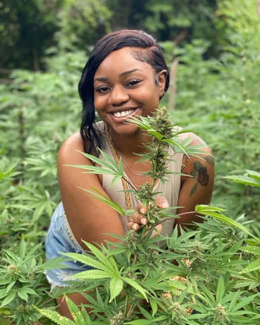 Montego Bay Marijuana Farm Tour - Rastafari culture and medicinal uses