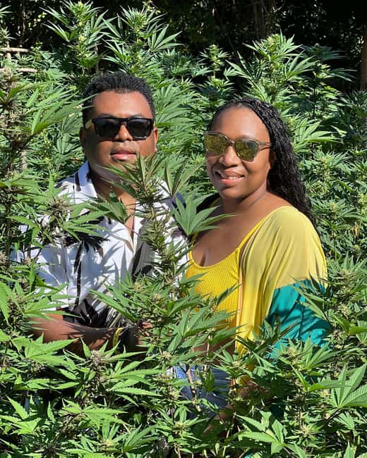 Montego Bay Marijuana Farm Tour - What the $140 price buys