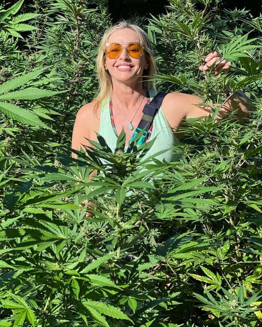 Montego Bay Marijuana Farm Tour - Photos, guides, and the private group format
