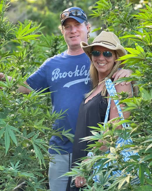 Montego Bay Marijuana Farm Tour - The main drawbacks to weigh before booking