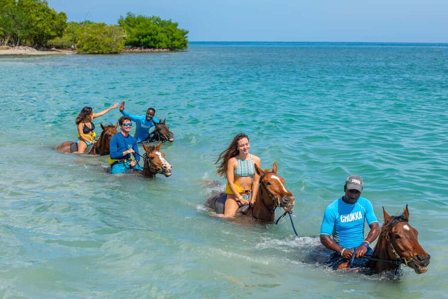 Montego Bay/Negril/Lucea: All-Access Adventure Pass - Zipline and Hammock Splash over the water