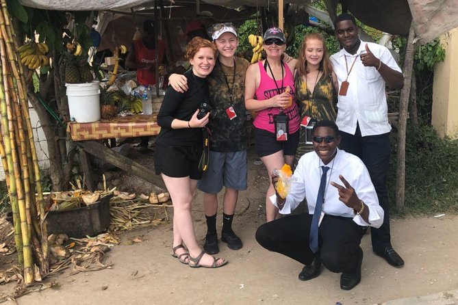 Montego Bay Private and Customized Highlights Day Tour - Comfort, pickup, and cruise ship costs