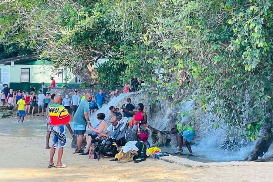 Montego Bay: Private Dunn's River Falls and Blue Hole Tour - Swimming and rope swings at Island Gully Falls