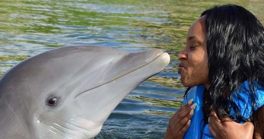 Montego Bay: Swim With The Dolphins Adventure in Lucea - Key points to know before booking