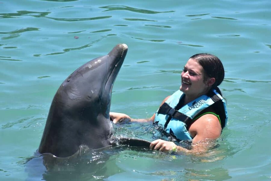 Montego Bay: Swim With The Dolphins Adventure in Lucea - What the Lucea dolphin experience is really like