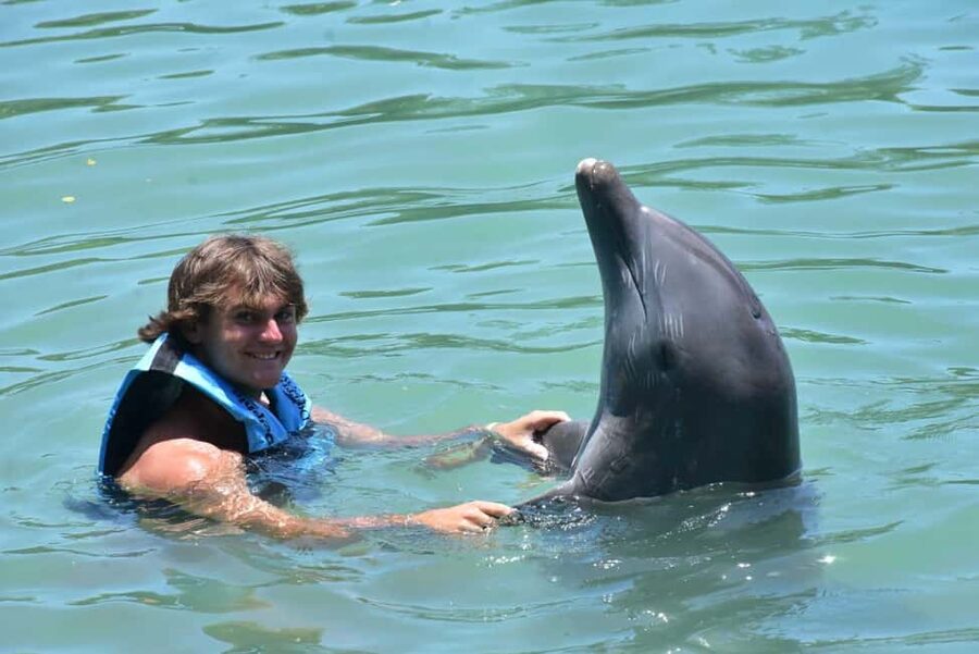 Montego Bay: Swim With The Dolphins Adventure in Lucea - Starting with pickup from nine resort areas
