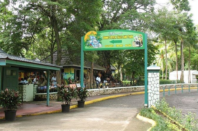 Montego Bay to Dunn's River Falls Half-Day Trip - Climbing the wet limestone terraces