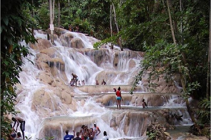 Montego Bay to Dunn's River Falls Half-Day Trip - What happens after you reach the top