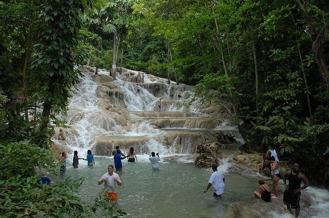 Montego Bay tour: Dunn's River Falls - The driver and guide make a difference