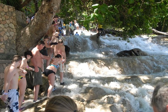 Montego Bay tour: Dunn's River Falls - Cruise-port timing and practical planning