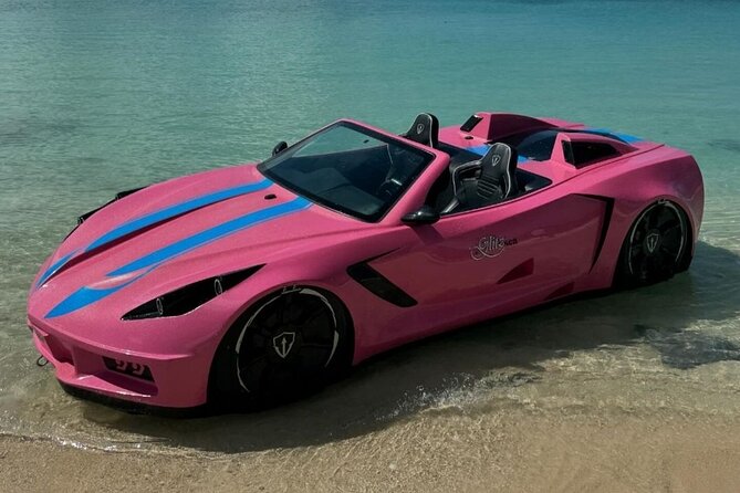Montego Bay Water Car Adventure from Montego Bay Area - Private Pickup Makes the High Price Easier to Judge