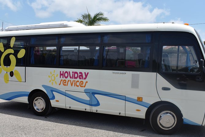 Mystic Luminescent Lagoon Night Cruise & Swim in Jamaica - Who will enjoy this most
