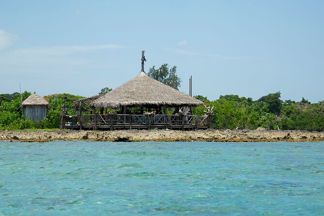 Negril 4 in 1 Day Trip from Montego Bay - The van ride shapes the whole experience