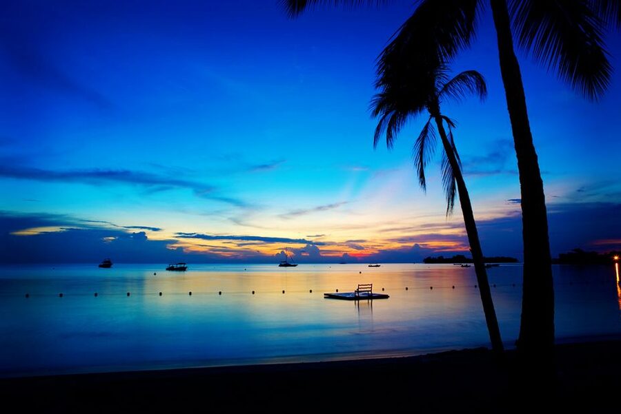 Negril 7-Hour Tour from Montego Bay - Seven Mile Beach: the day’s easiest pleasure