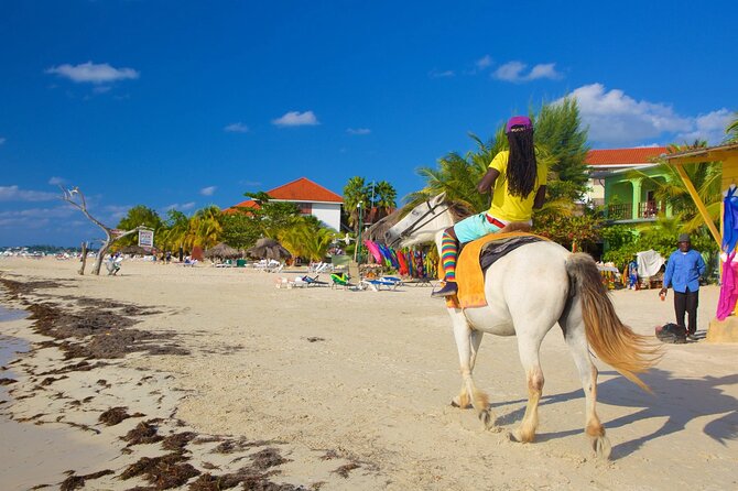 Negril 7 Mile Beach and Rick's Cafe Tour From Montego Bay Jamaica - Who will get the most from this trip