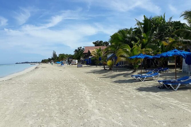 Negril 7 Miles Beach and Rick's Cafe Tour - Practical ways to make the day better