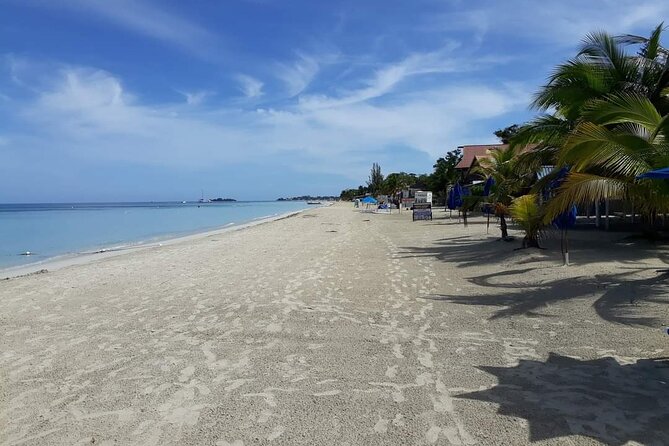 Negril 7 Miles Beach and Rick's Cafe Tour - What the strong rating tells you