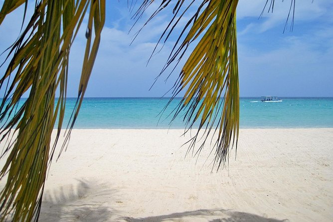 Negril Beach & Ricks Cafe from Montego Bay - The Ride From Montego Bay