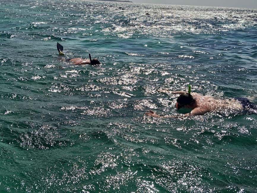 Negril: Booby Cay Island Picnic Tour with Snorkeling - Why Booby Cay makes a good half-day escape