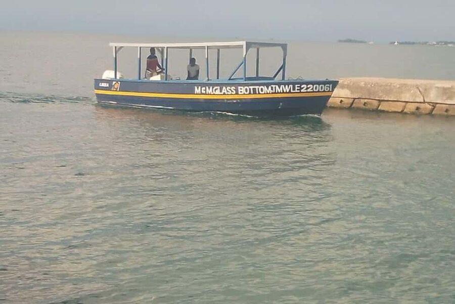 Negril: Booby Cay Island Picnic Tour with Snorkeling - One hour of snorkeling in clear water