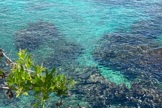 Negril day! beach and west end Cliffs with French Guide - Timing, pickup, and the road from Montego Bay