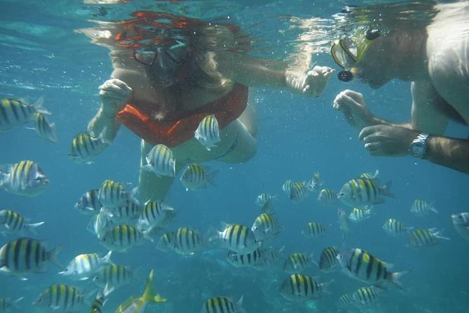 Negril Lobster Lunch on Booby Cay & Snorkeling To a Sunken Cannon - Key points at a glance