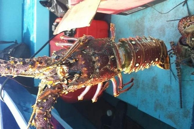 Negril Lobster Lunch on Booby Cay & Snorkeling To a Sunken Cannon - Lunch over authentic fire coal
