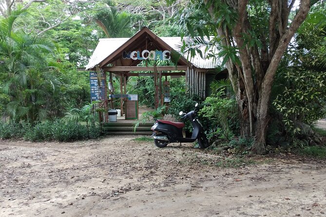 Negril Private and Public Beach with Ricks Cafe from Montego Bay - What the $129.99 price covers